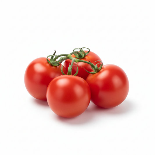 ROMA TOMATO CASE