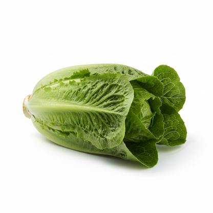 LETTUCE WRAP CASE